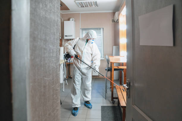 Best Mold Remediation for Vacation Homes  in Gothenburg, NE