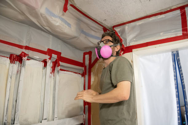 Best Mold Odor Removal Services  in Gothenburg, NE